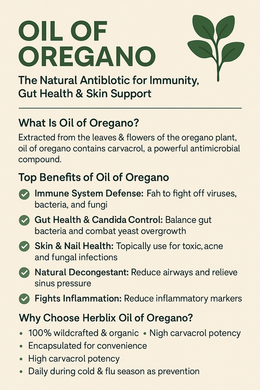 Oil of Oregano: The Natural Antibiotic for Immunity, Gut Health & Skin Support